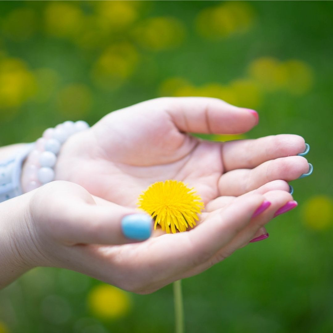 Ольга в цветении (сакура, одуванчики). Семейный и детский фотограф в Хабаровске Анна Гриневич