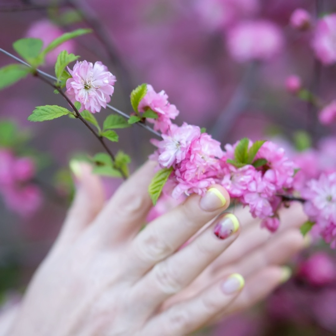 Елена в цветении (сакура и груша). Семейный и детский фотограф в Хабаровске Анна Гриневич