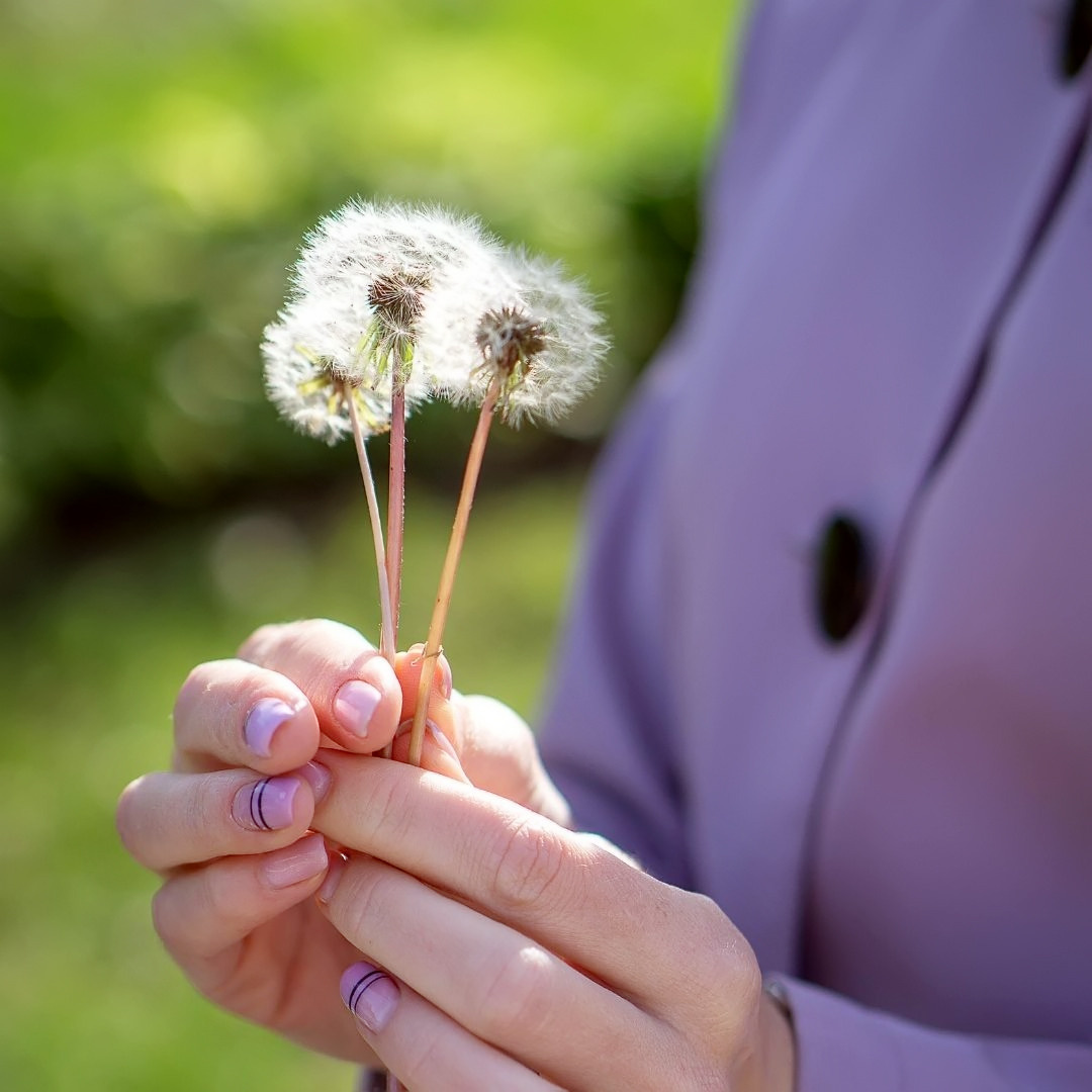 Мария в цветении (сирень). Семейный и детский фотограф в Хабаровске Анна Гриневич