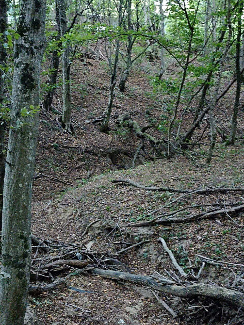 Горячий Ключ (2024-09-20). Собор Отрасли