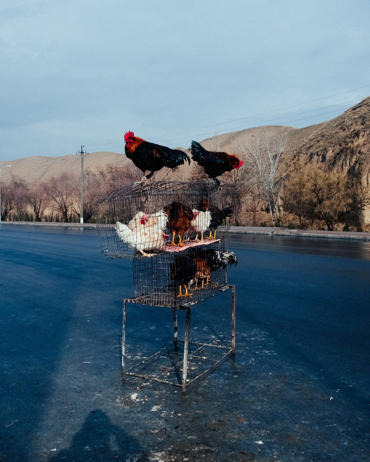 Узбекистан. Фотограф Дмитрий Олрайт | Калуга, Россия