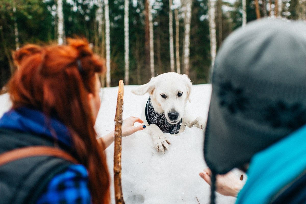 ШАНТИ и СЕМЬЯ. Свадебный и семейный фотограф РИТА БОЧКАРЁВА
