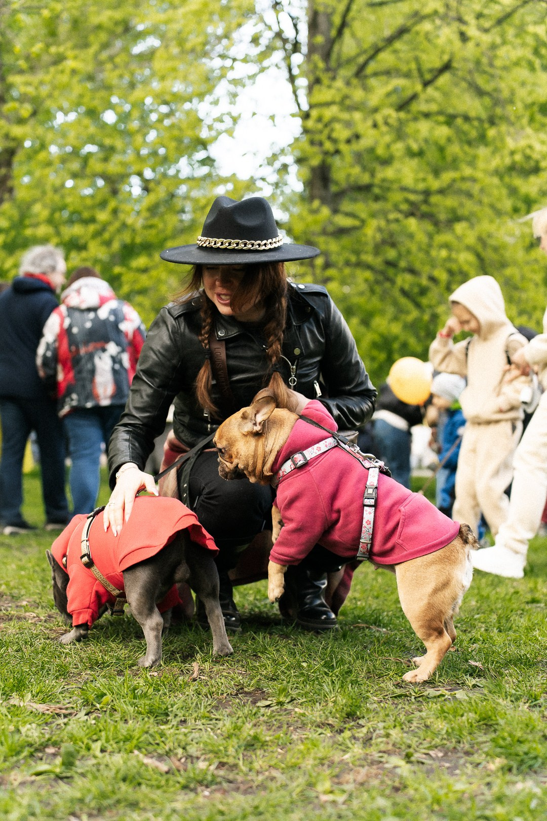 Парад Бульдогов. Axenov_eugene