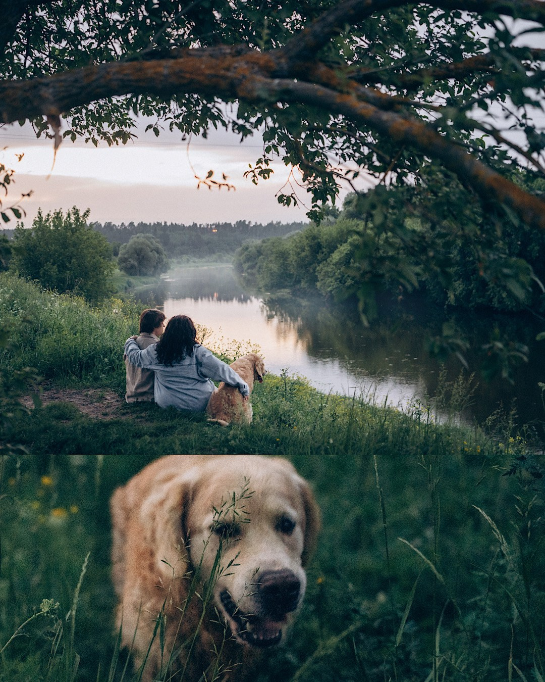 Кристина, Александр, Каролина, Владлен и Космос. Фотограф анималист в Москве и Санкт-Петербурге Свиридова Анна