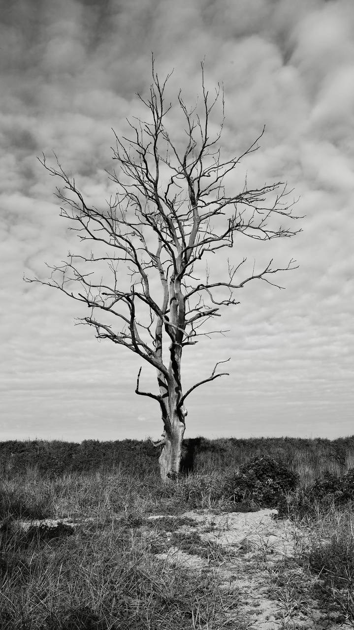 Калининград 2025. Фотограф Михаил Олейник