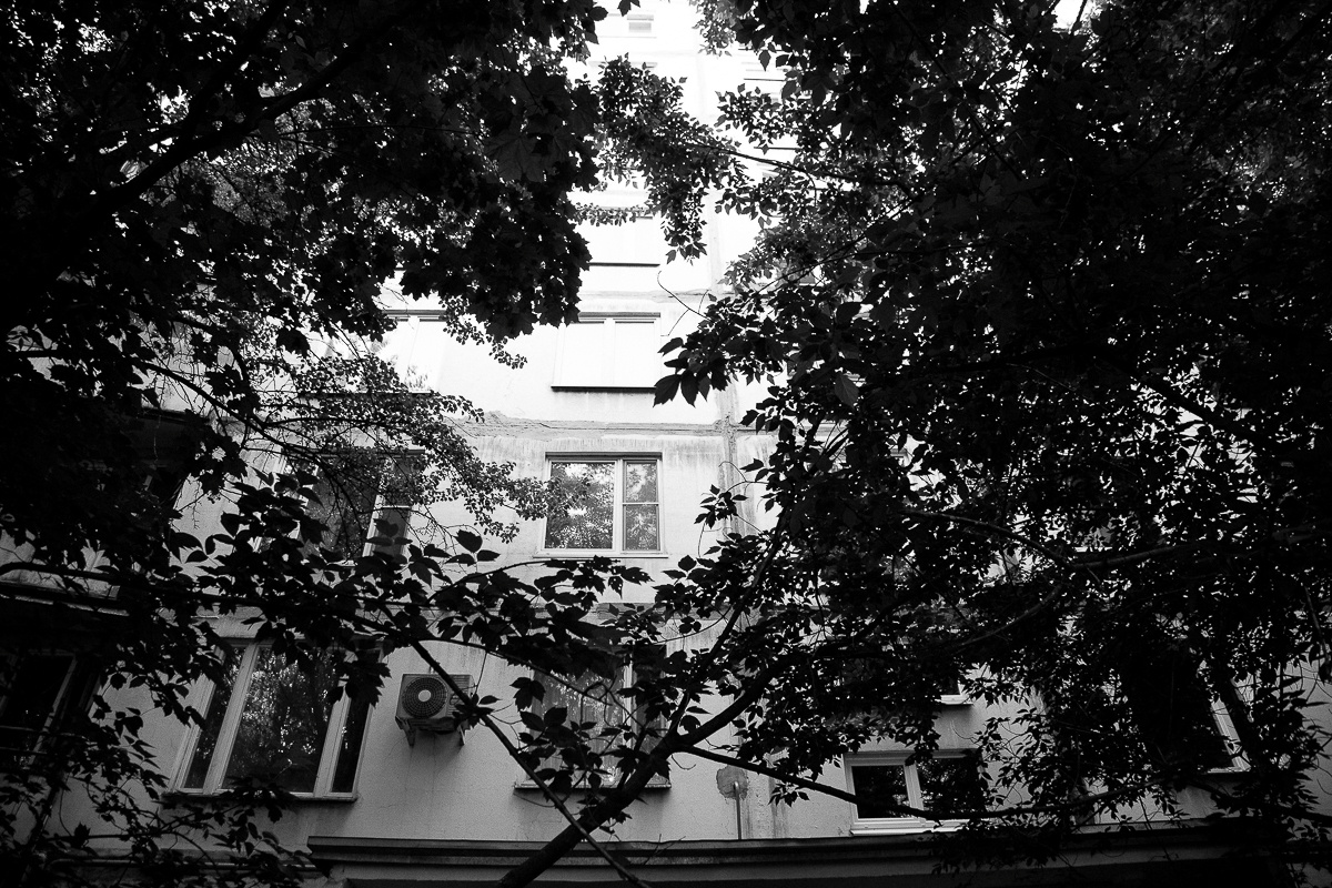 Москва, Лес, Свадьба. Свадебный фотограф Юлия Логинова