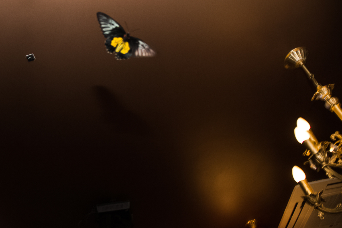 Улыбаки. Свадебный фотограф Юлия Логинова