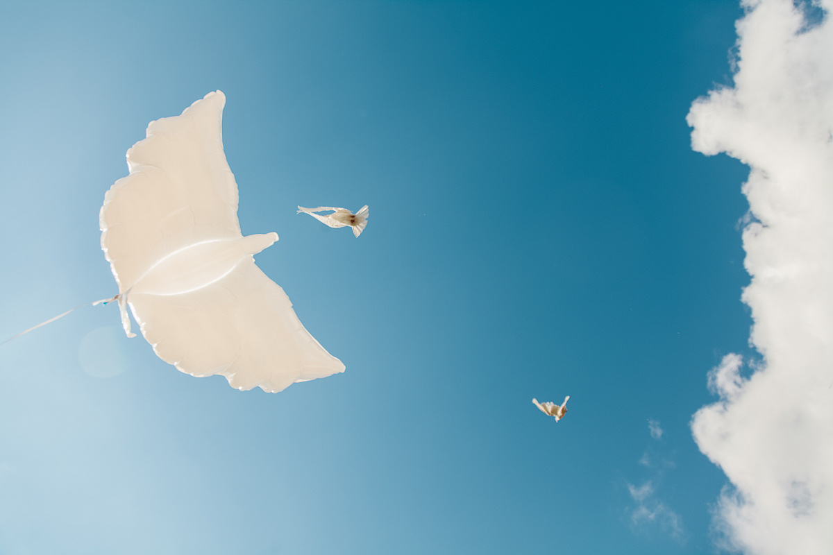 Свадьба началась с банкета. Свадебный фотограф Юлия Логинова