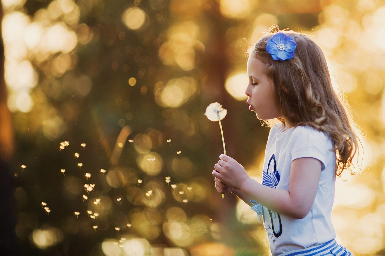 Фотовыставка СЕМЕЙНЫЙ АЛЬБОМ 2016. Организация фотовыставок в Петербурге и Москве, MFamilia (МФамилия)