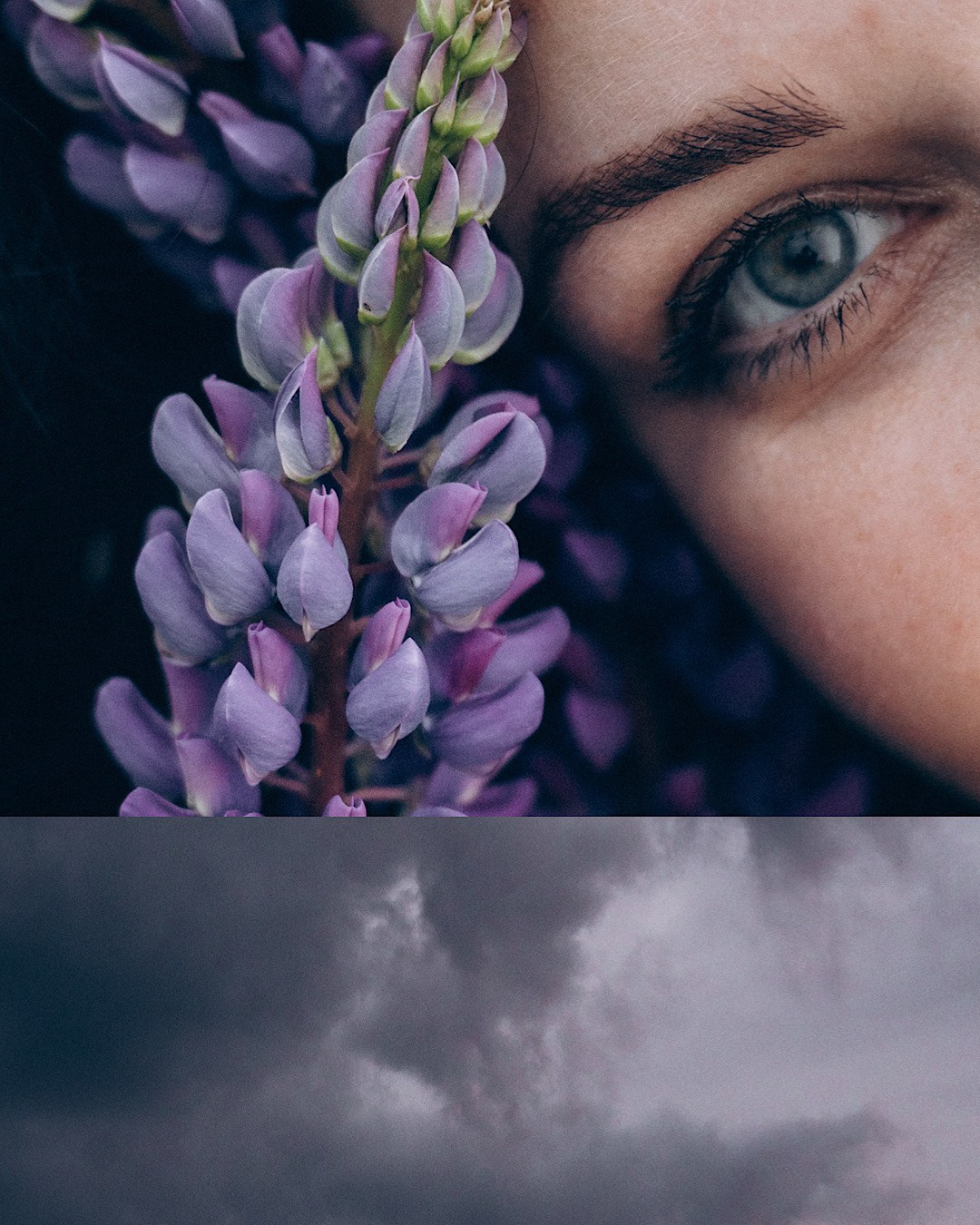 Кристина, Александр, Каролина, Владлен и Космос. Фотограф анималист в Москве и Санкт-Петербурге Свиридова Анна