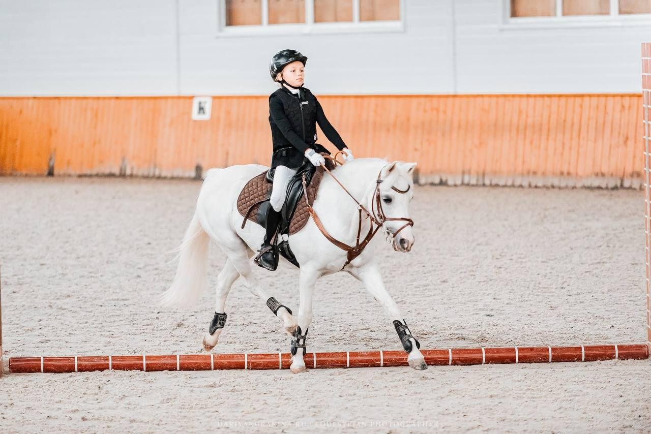 ОСЕННИЙ КУБОК КСК «КОНКОРД» по КОНКУРУ. Куракина Дарья • Конный фотограф