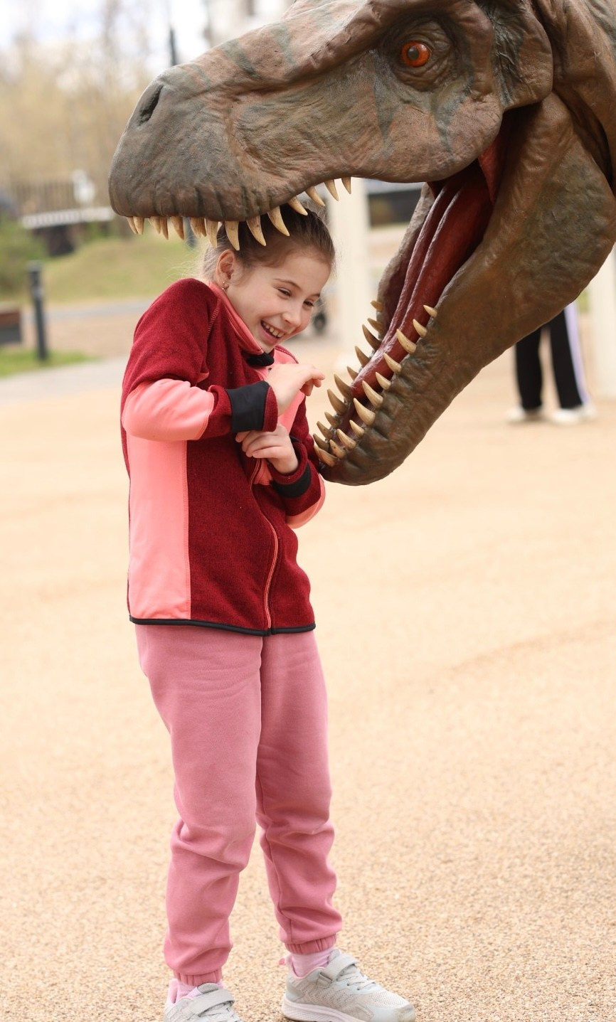 Косте 6 лет Дино пати. Семейный фотограф Москва детский фотограф Одинцово фотосессия беременности Рогачева Екатерина