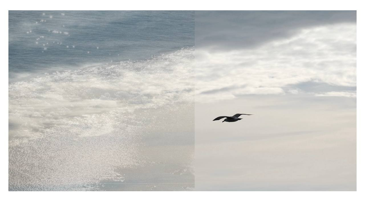 Alyona Rubanova — Visual artist