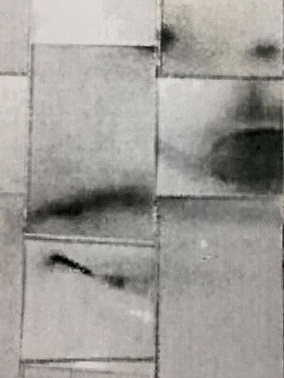 «Генетический код». Лилия Ким. Междисциплинарный художник