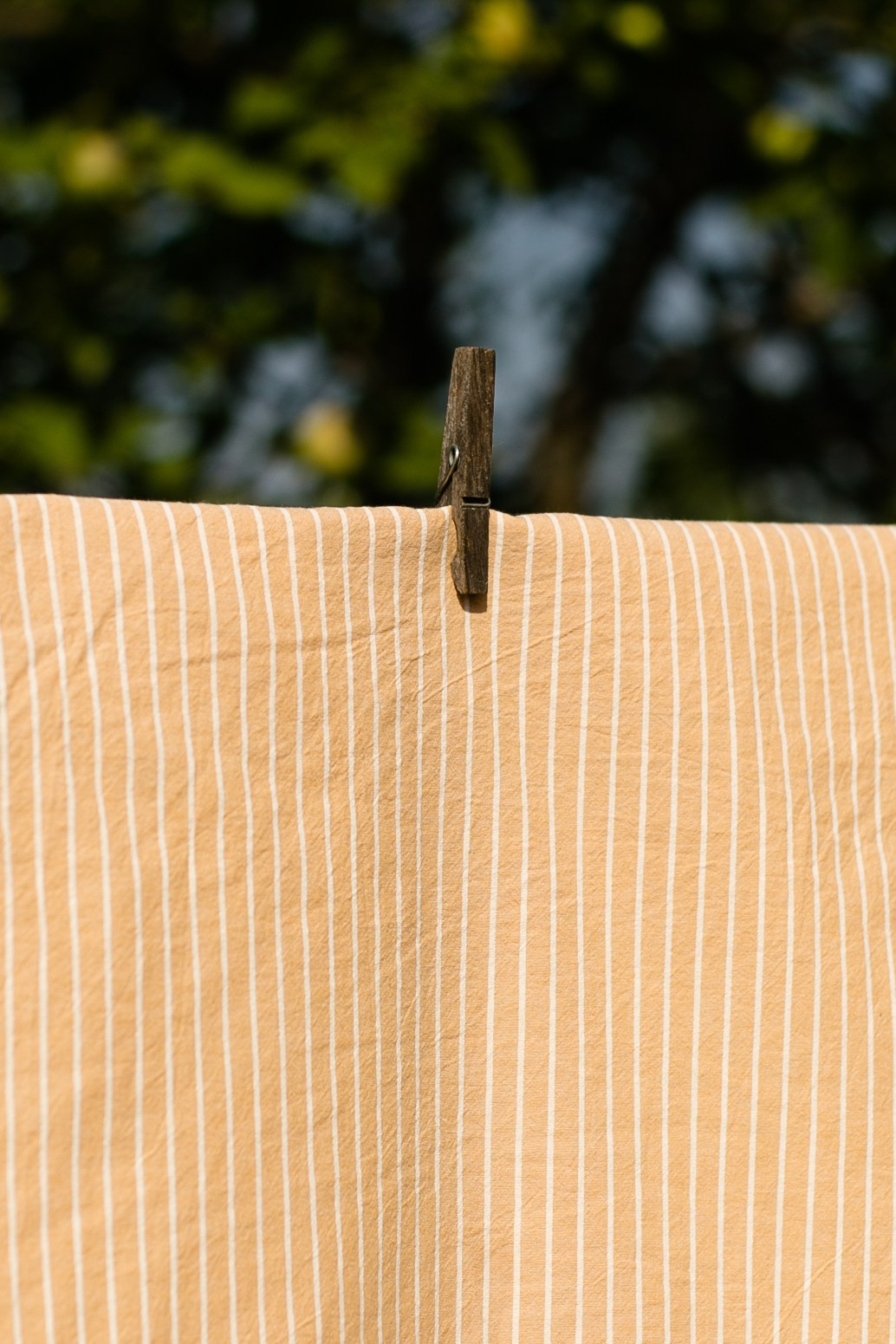 Предметная съемка. Фотограф Кристина Мурашова