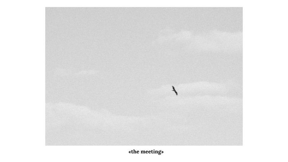 The meeting. Elmira Zueva