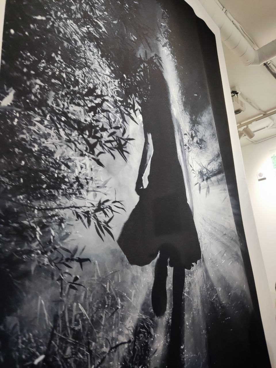 Выставка «Зеленый цвет». Фотограф Евгений Казекин