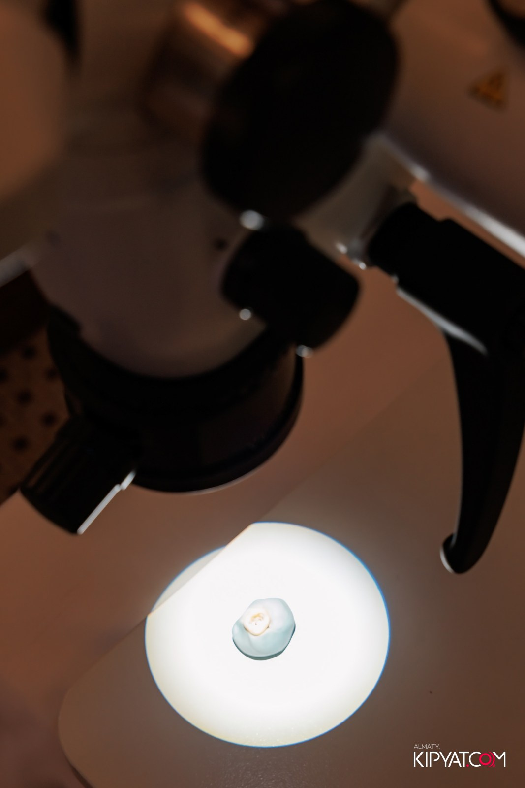 КУРС ДЛЯ СТОМАТОЛОГОВ: ОСЛОЖНЕНИЯ В ХИРУРГИЧЕСКОЙ ПРАКТИКЕ. КТО ВИНОВАТ И ЧТО ДЕЛАТЬ?. КИПЯТКОМ АЛМАТЫ!