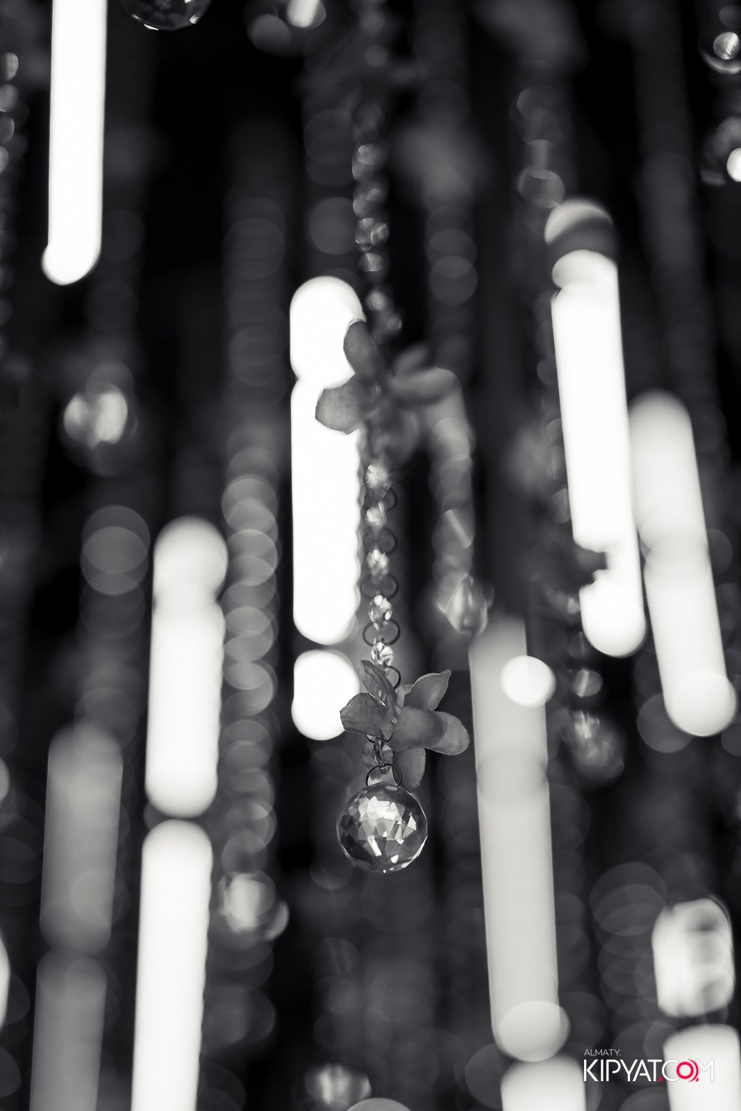 FRIENDS BAR & TERRACE. КИПЯТКОМ АЛМАТЫ!