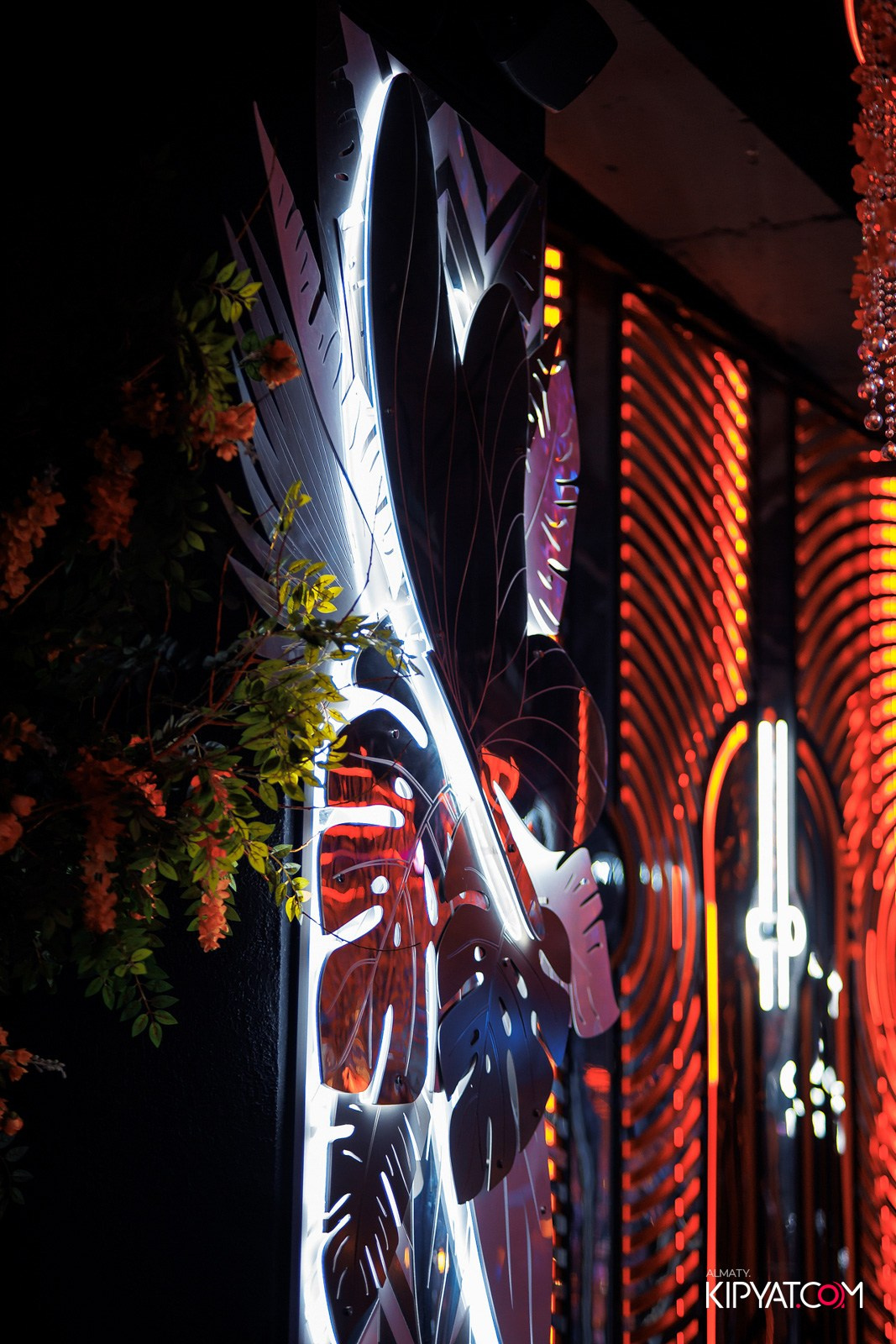 FRIENDS BAR & TERRACE. КИПЯТКОМ АЛМАТЫ!