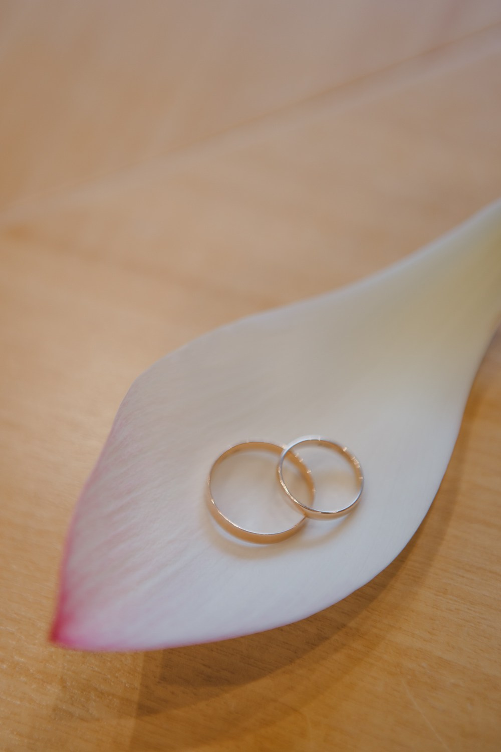 Артем и Ира (ЗАГС и прогулка). Семейный и свадебный фотограф в Нижнем Новгороде