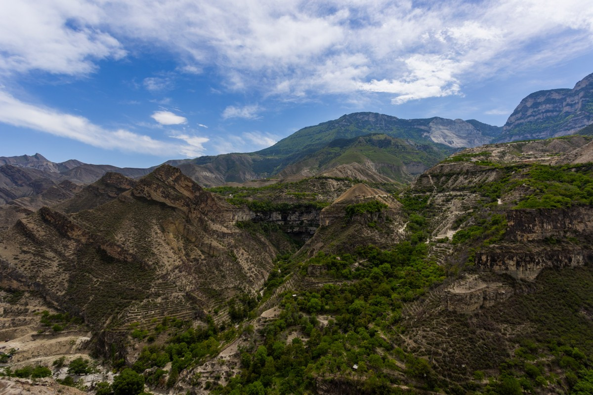 Гора Ахульго. Photomantis