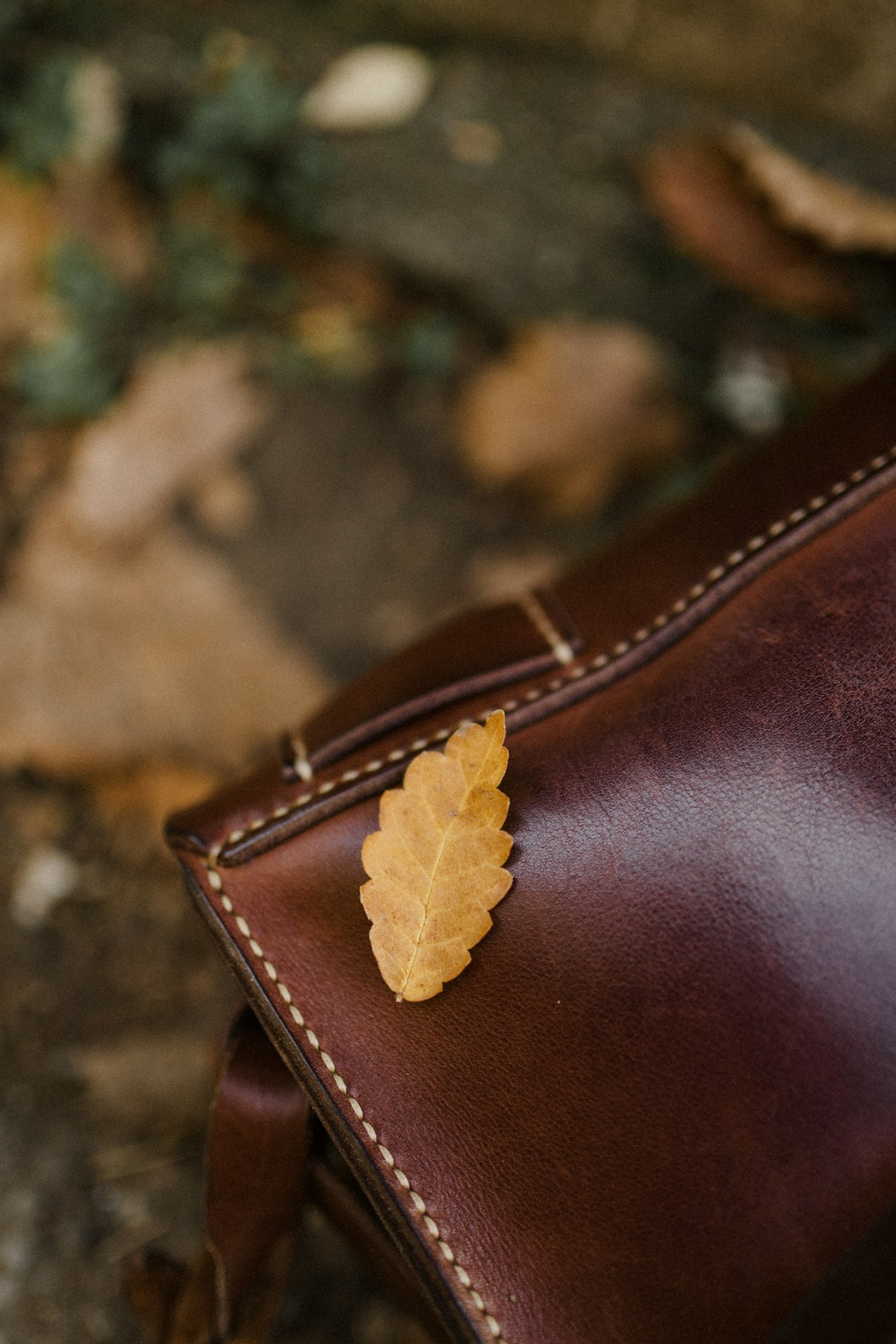 Jenya. Anastasia Blud Photography