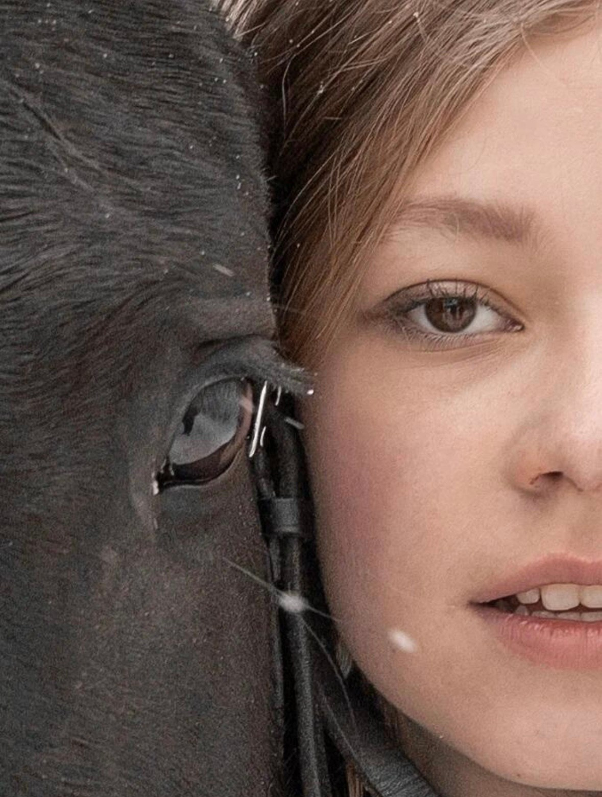 Фотопроект «На коне». ТриМедиа Продакшн