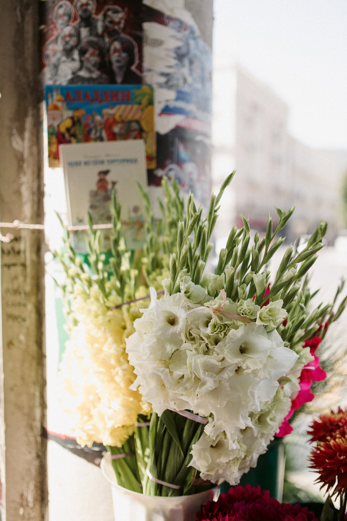 Tanya. Anastasia Blud Photography