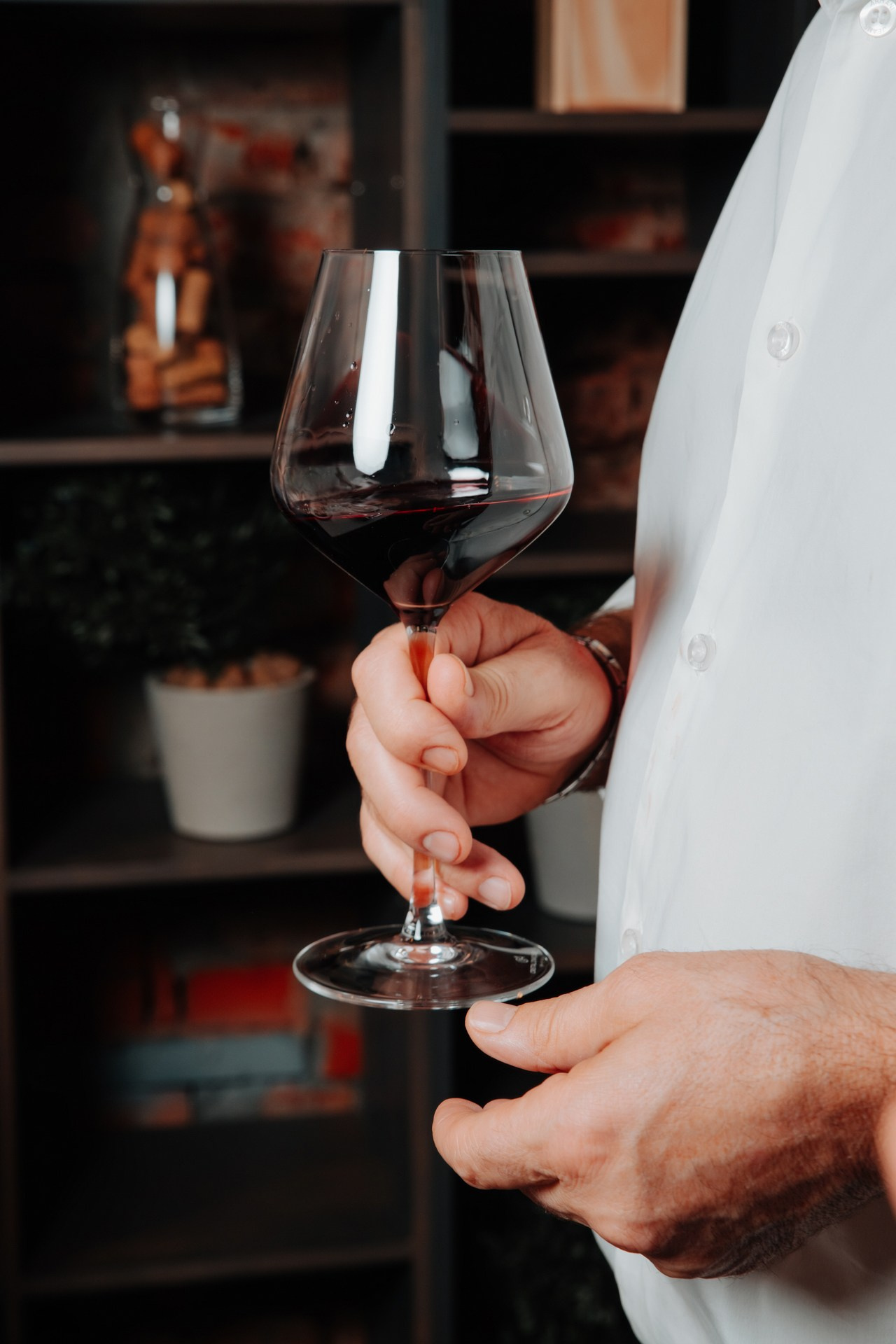 Винный ужин. Фотограф Перминов Никита СПБ