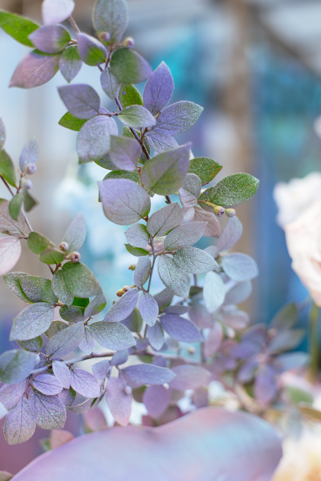 Свадьба Инны и Кости. Свадебный и семейный фотограф Ксения Шекк Екатеринбург