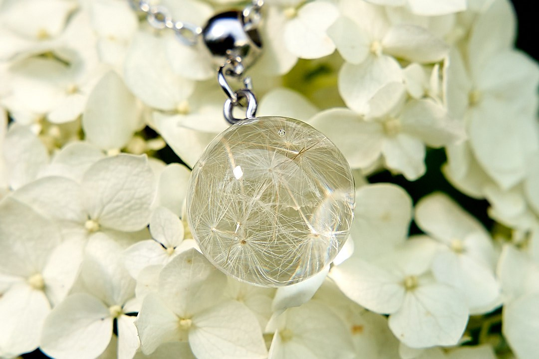 Пердметная фотография. Контент фотография. Краснодар