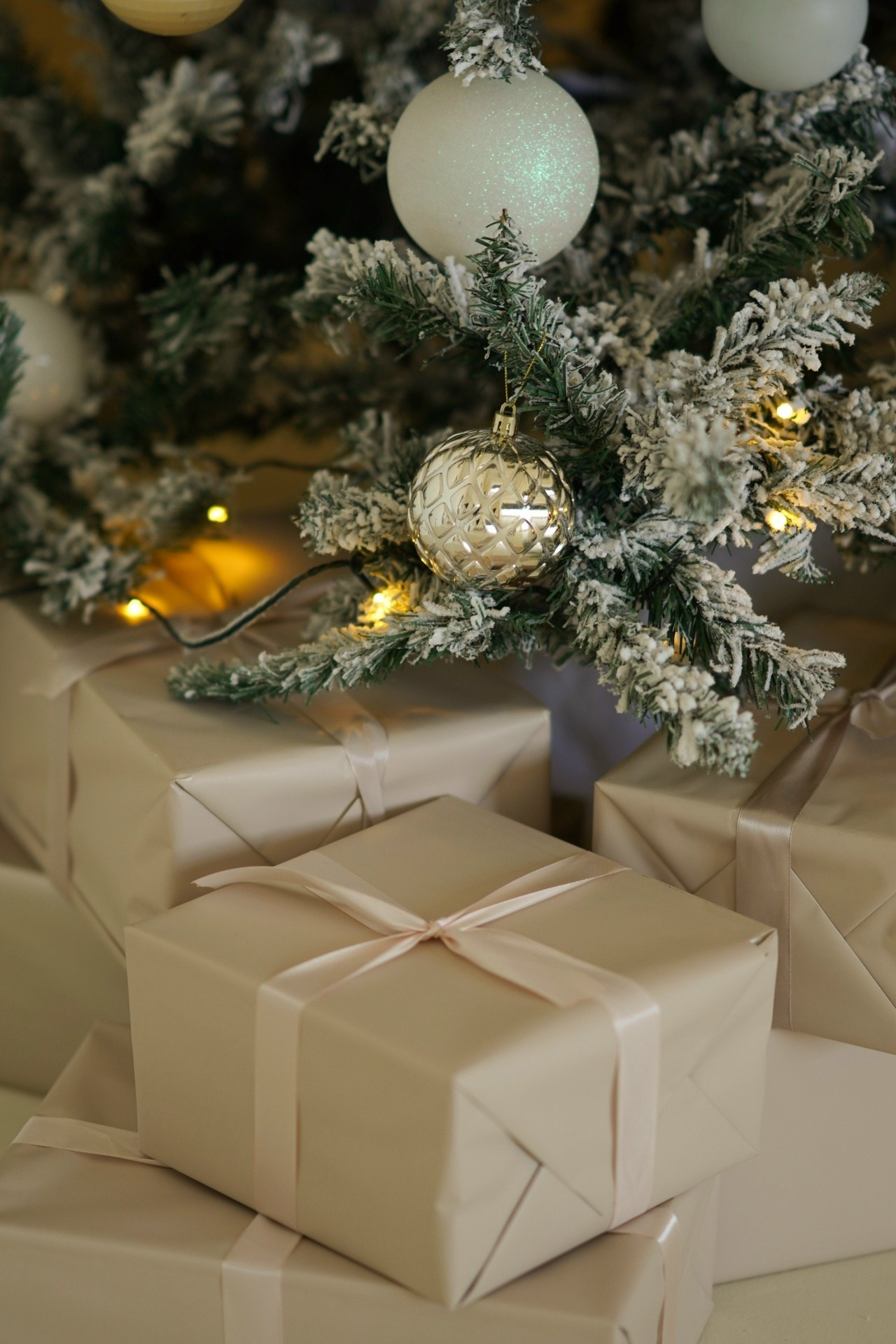 НГ студии зима 2025-2026