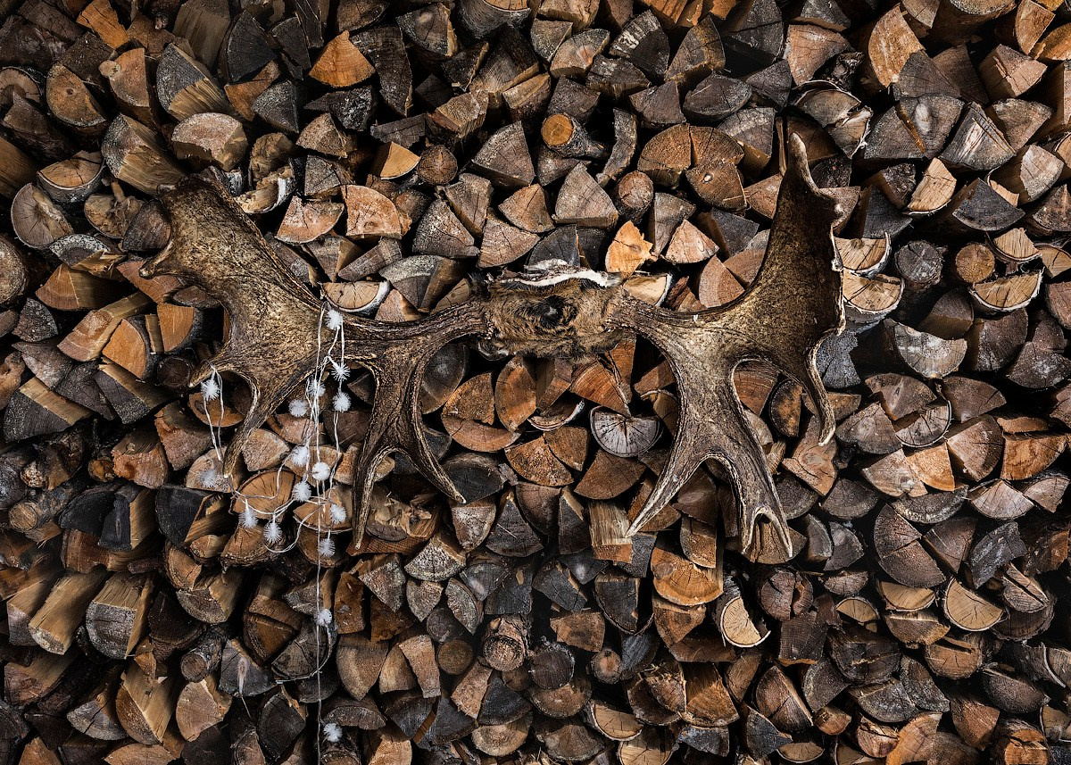 Атлас первого снега серия фотографий. Елена Аносова — художница и исследовательница, куратор и лектор