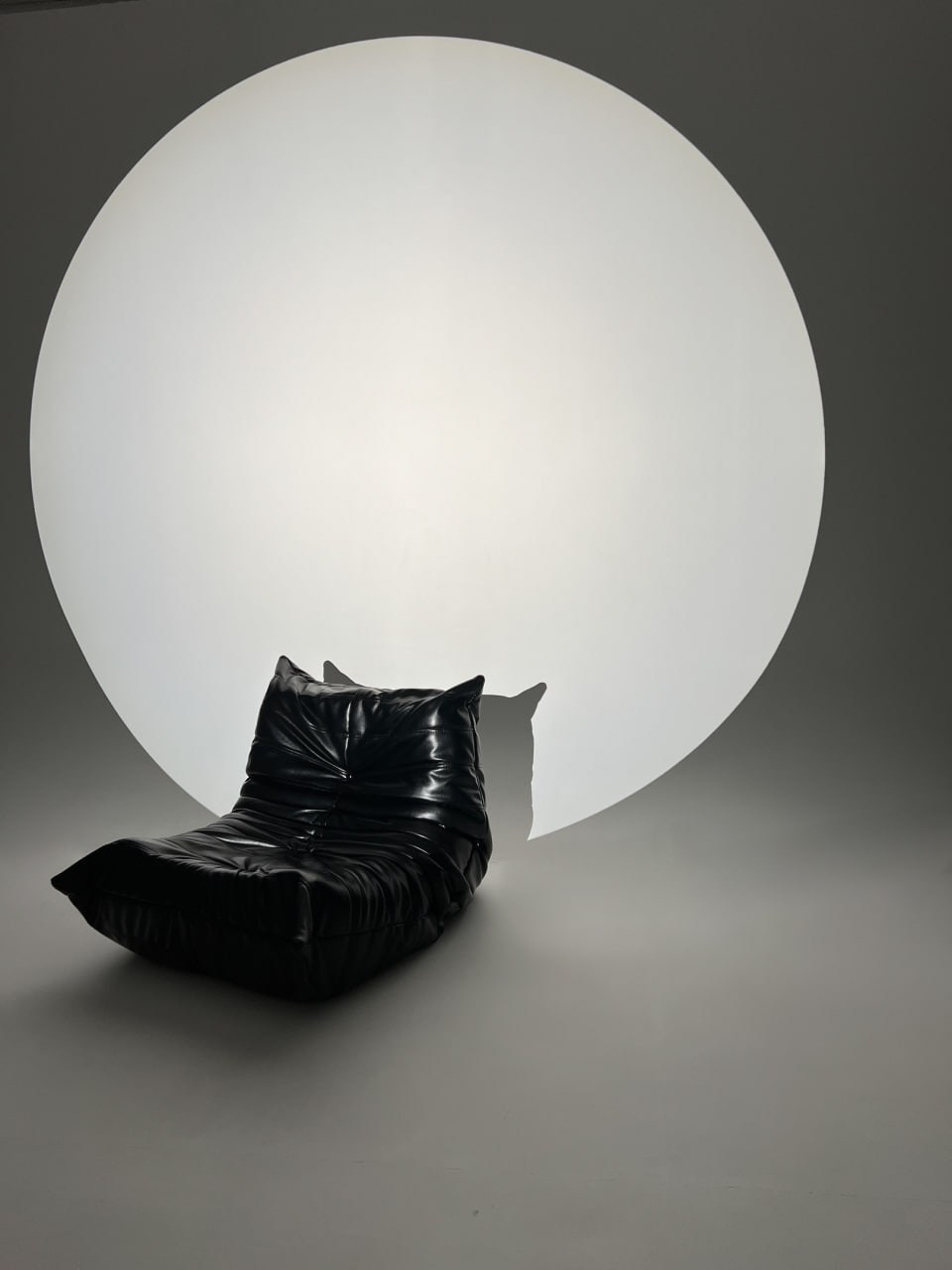 На этом фото представлен интерьер фотостудии studio 216, зал 216.