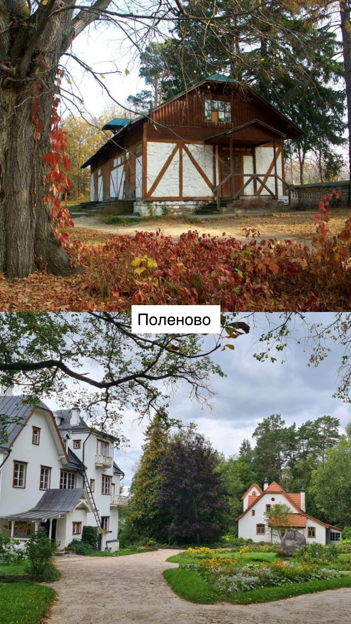 Природные. Фотограф Светлана Мерзлякова