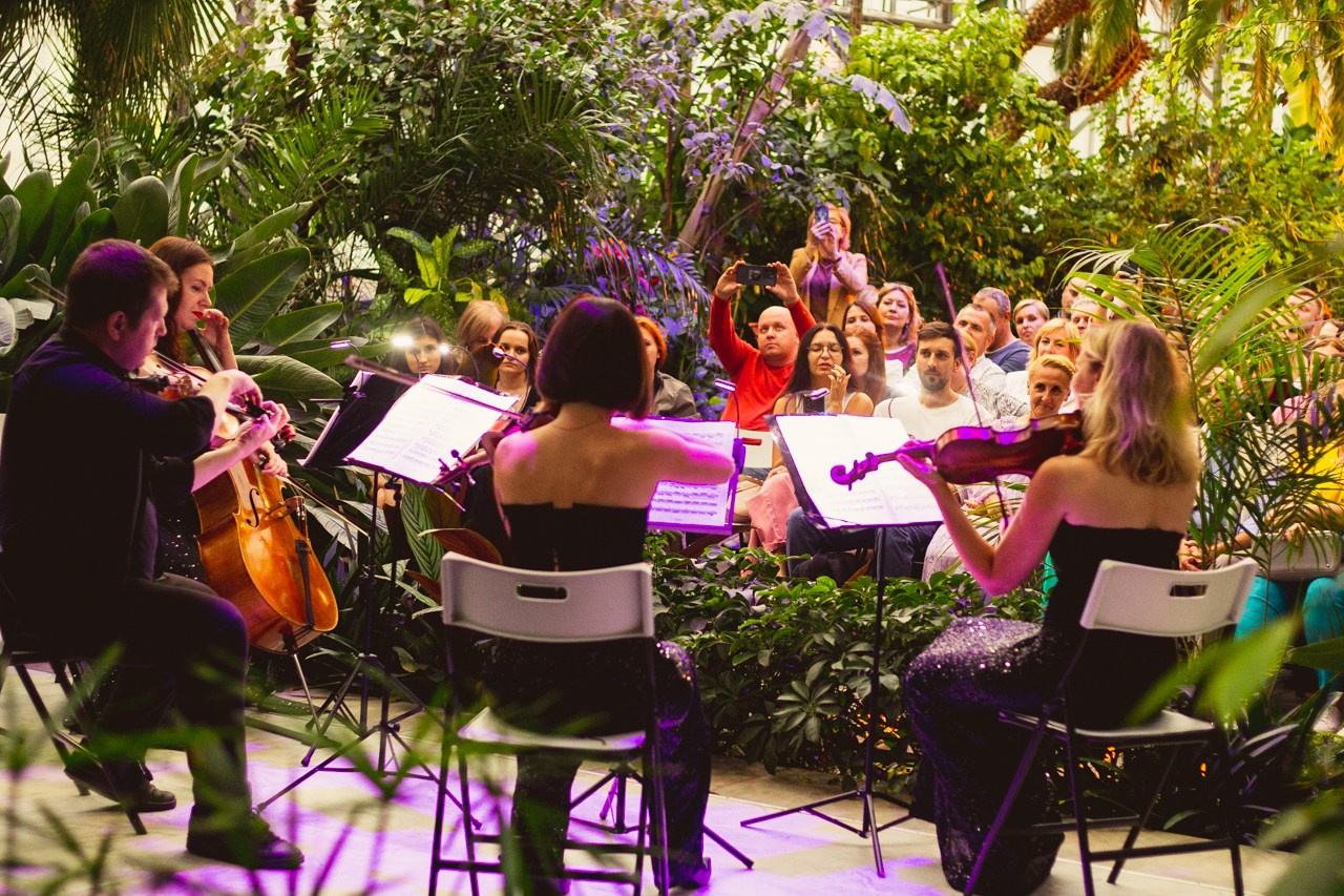 Petro Art — квартет в Таврическом саду (Рок Хиты). EvgenyCraft