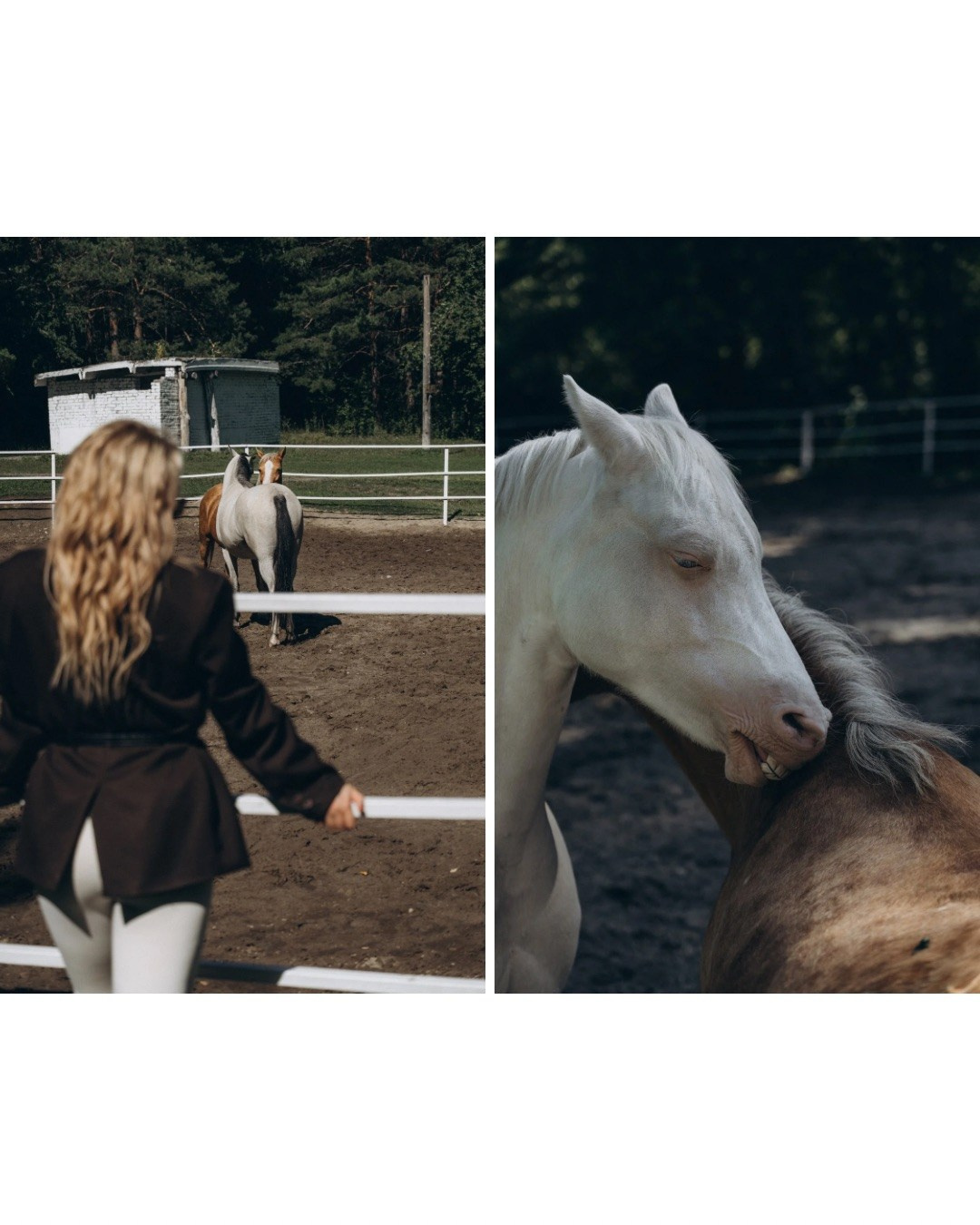 Портфолио. Контент-креатор | Кристина Щербакова