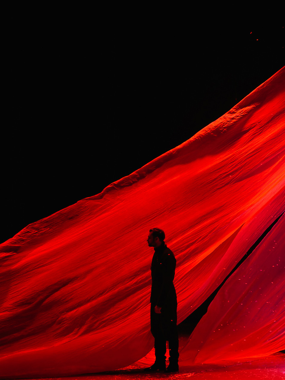 «Лев зимой». Фото и видео контент за одну съемку — Веретенников Егор