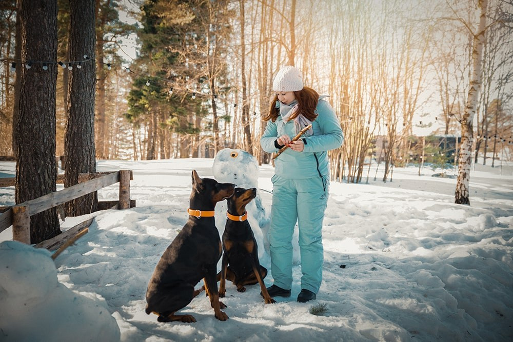 Любовь и доберманы