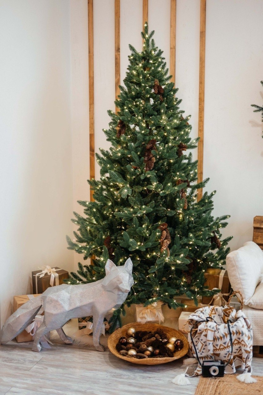 НГ студии зима 2025-2026