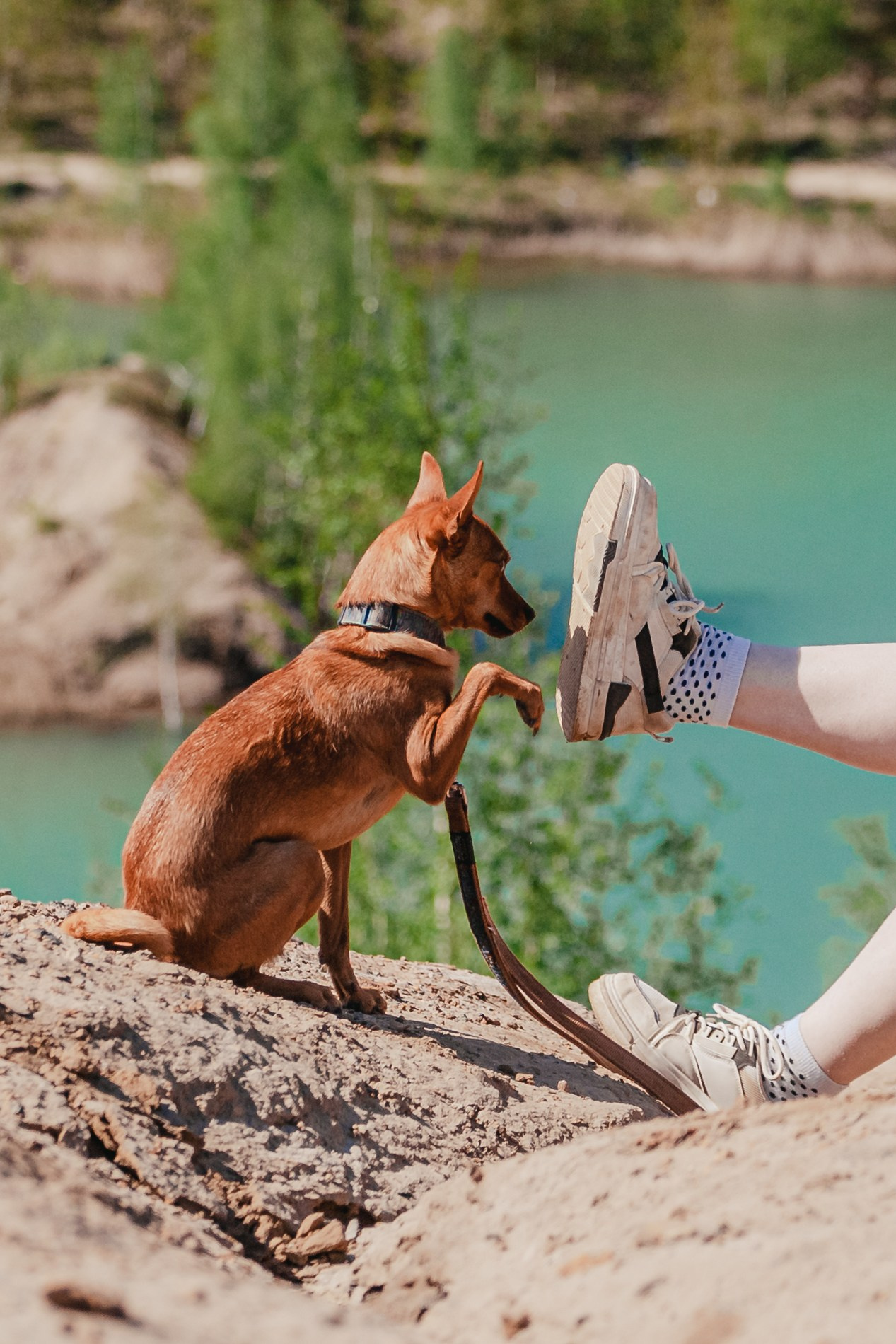 Кондуки. Фотограф-анималист Татьяна Степанова