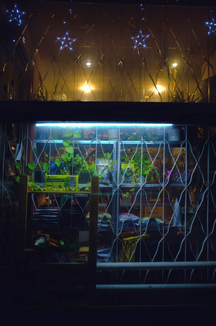 Внутри витрин / Inside the storefronts. Руслан Шувалов (поэтограф)