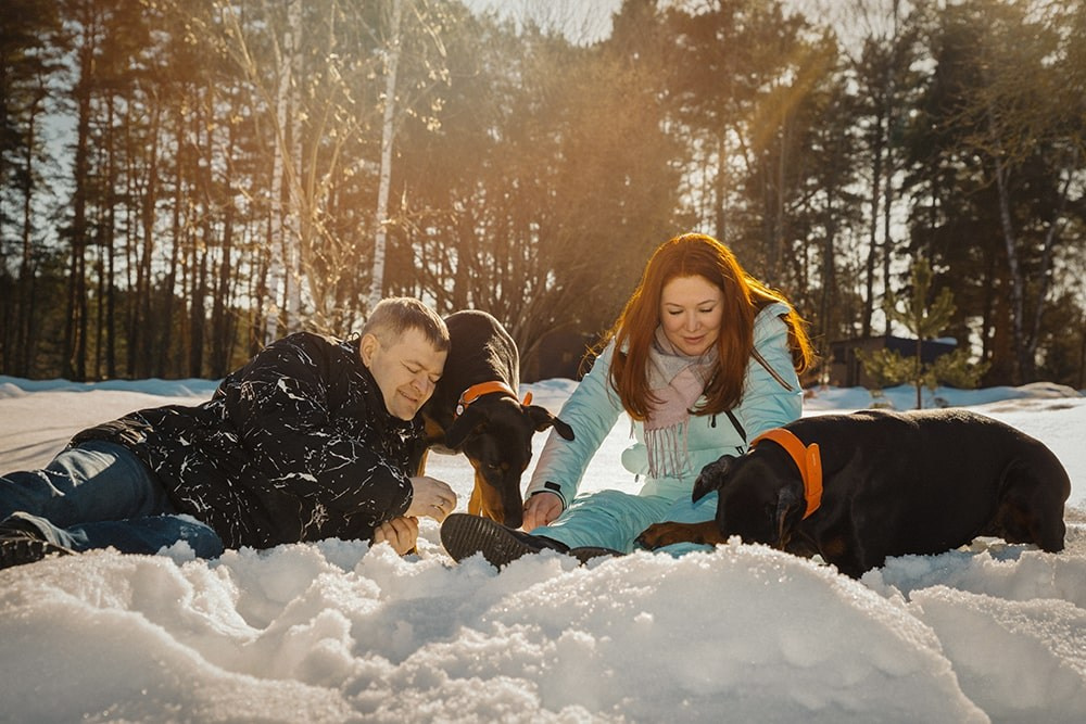 Любовь и доберманы