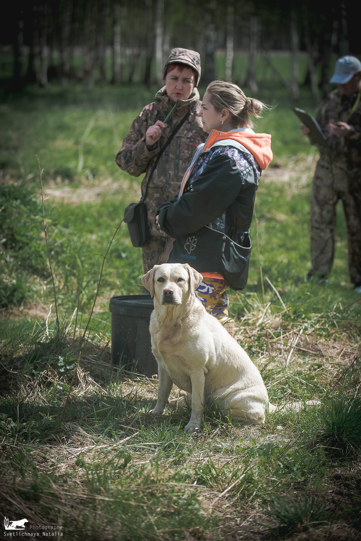 Состязания РиПБД для ретриверов, ранг САСТ, 14 мая 2022 года, клуб «Динамо». Фотограф-анималист Наталья Светличная