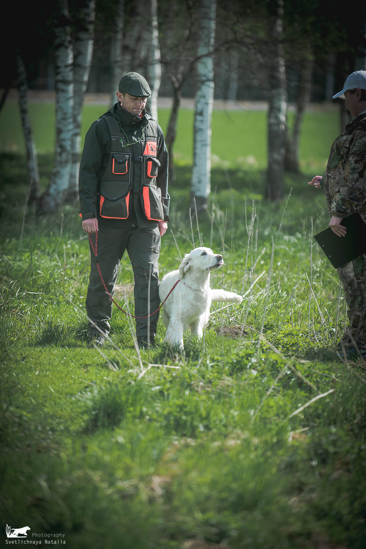 Состязания РиПБД для ретриверов, ранг САСТ, 14 мая 2022 года, клуб «Динамо». Фотограф-анималист Наталья Светличная