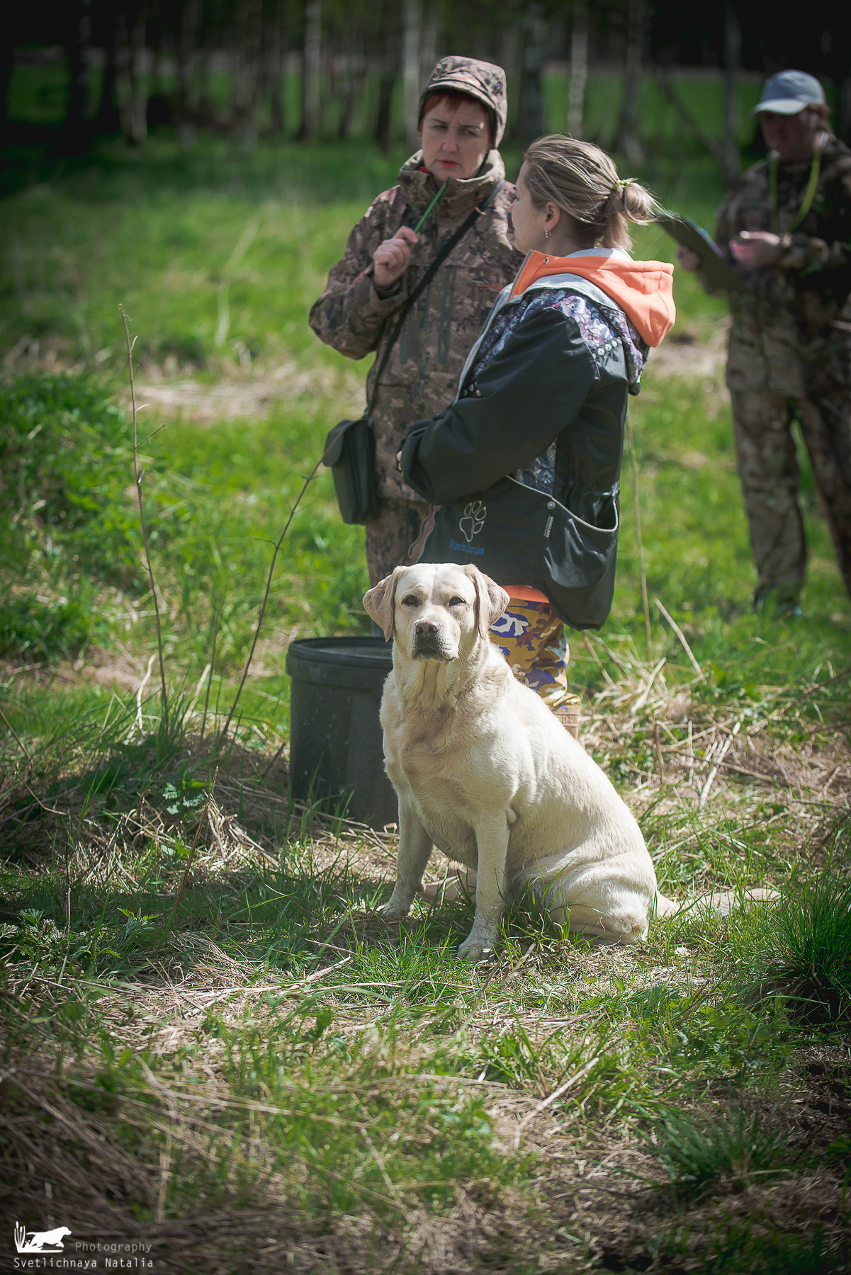 Состязания РиПБД для ретриверов, ранг САСТ, 14 мая 2022 года, клуб «Динамо». Фотограф-анималист Наталья Светличная
