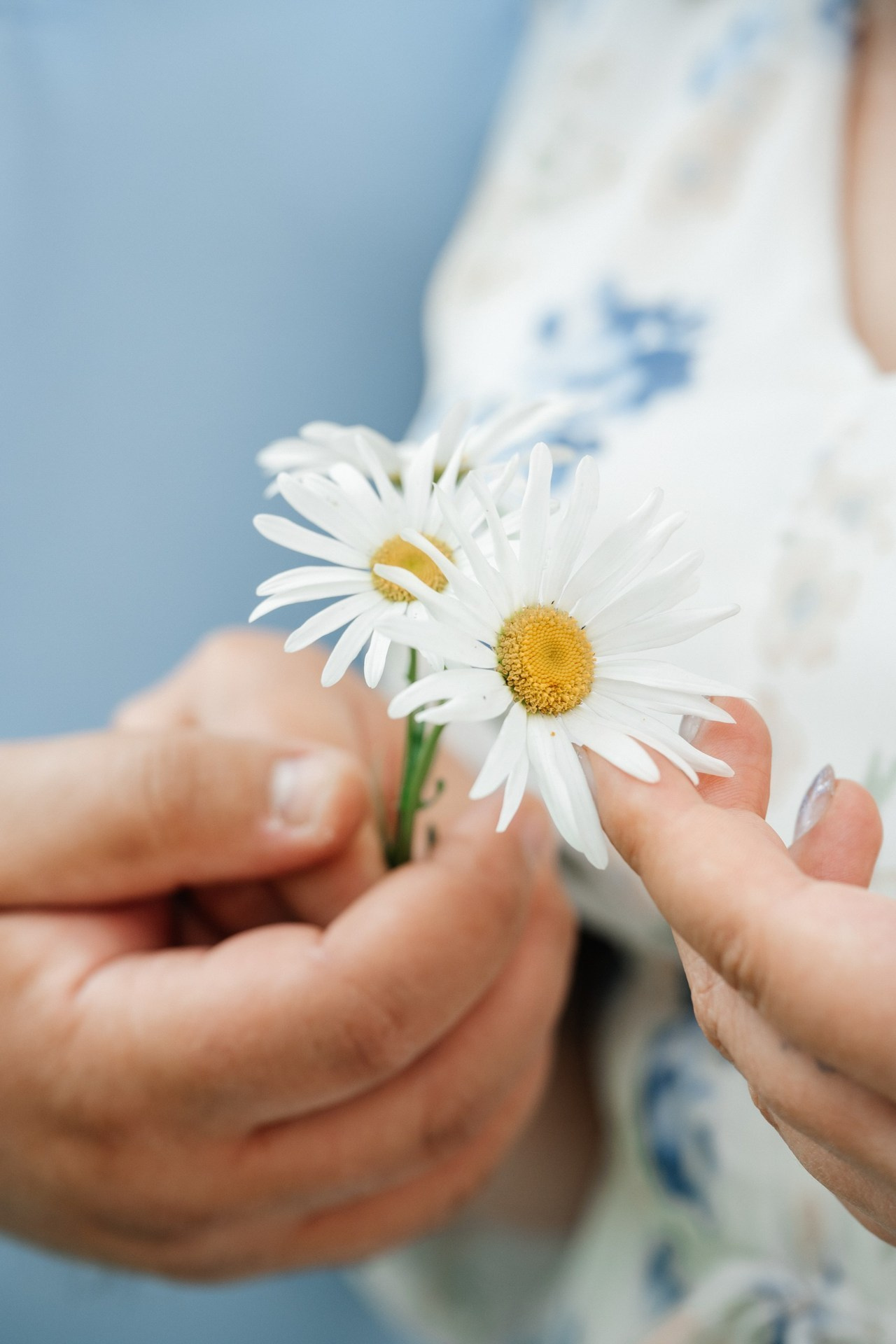 Благодарности