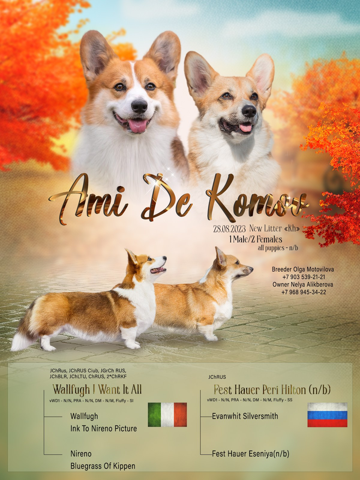 Презентации. Фотограф — анималист в Туле Юлия Лето