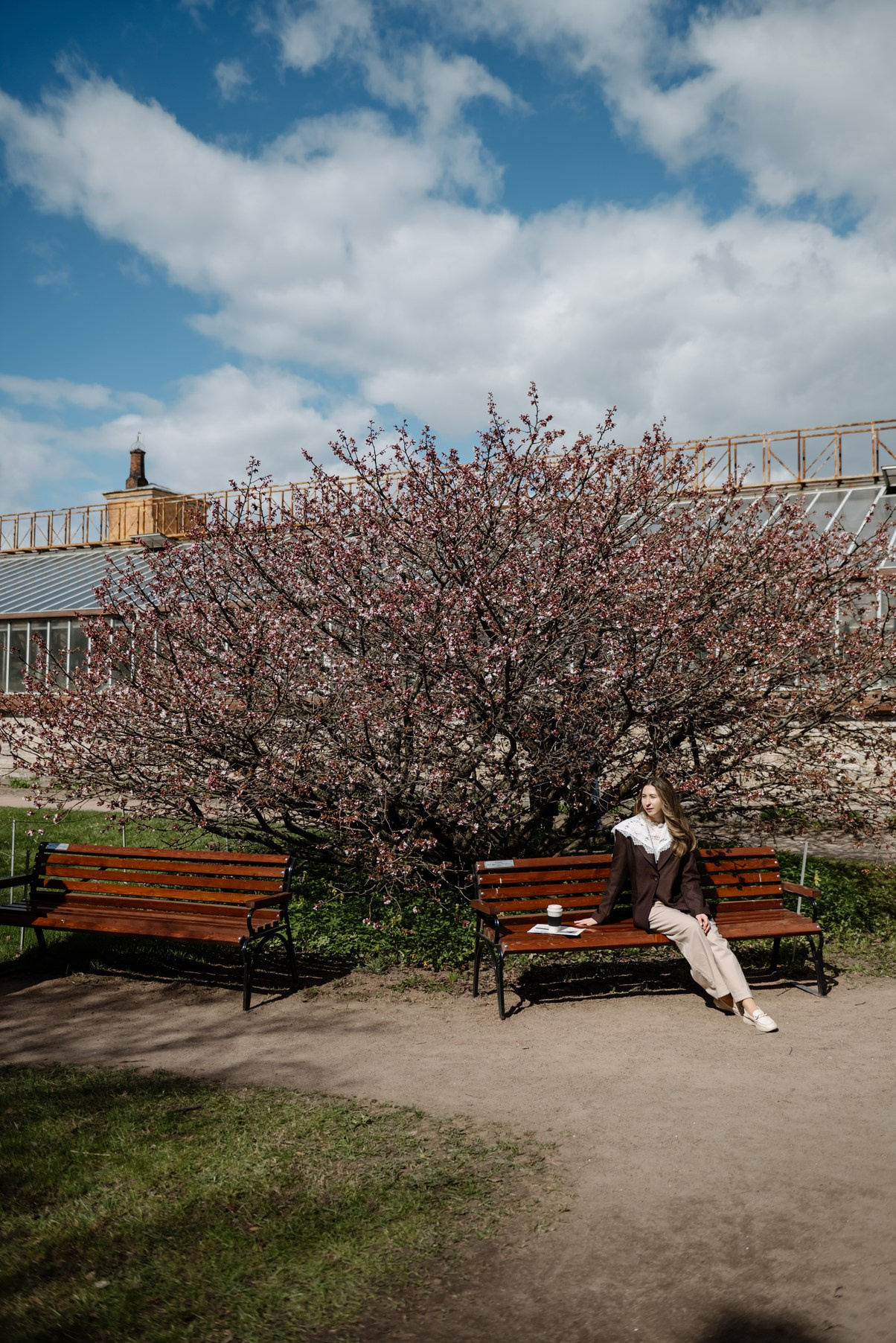 Марина с сакурой. Свадебный и семейный фотограф в Санкт-Петербурге Елена Худякова